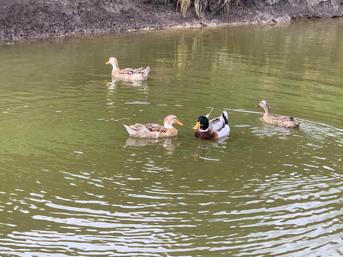 Agro Na Wapniarni Villa Biala  Bagian luar foto