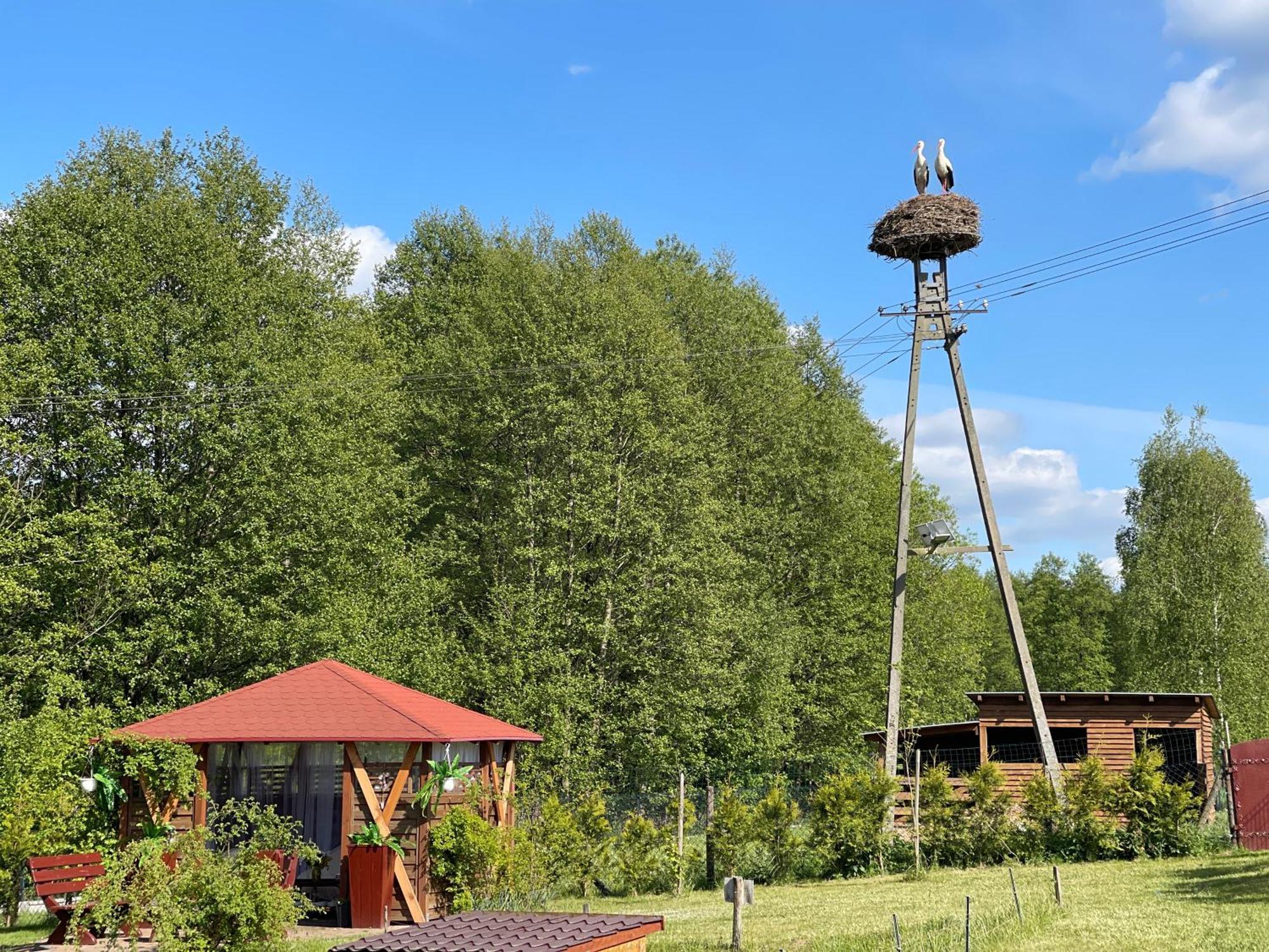 Agro Na Wapniarni Villa Biala  Bagian luar foto